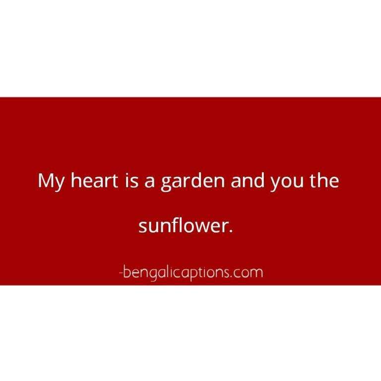 Instagram post captions Best caption for Instagram post